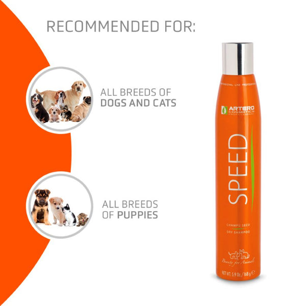 SPEED DRY SHAMPOO 300ML