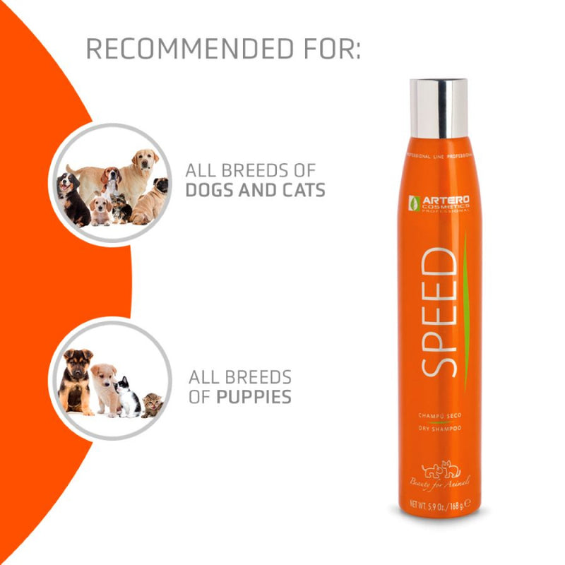 SPEED DRY SHAMPOO 300ML