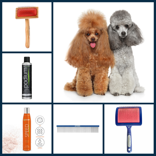 Show Season Grooming Bundle — Your Dog’s Winning Glow Starts Here