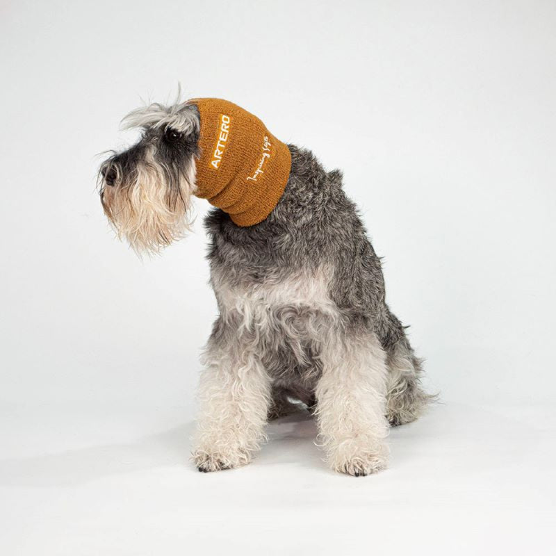 Artero Focus Drying Ear Muffs Se