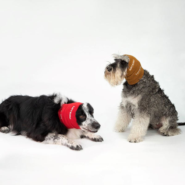 Artero Focus Drying Ear Muffs Se