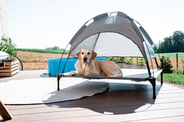 Raised Dog Bed Vacation Model 105 x 86 x 75 cm