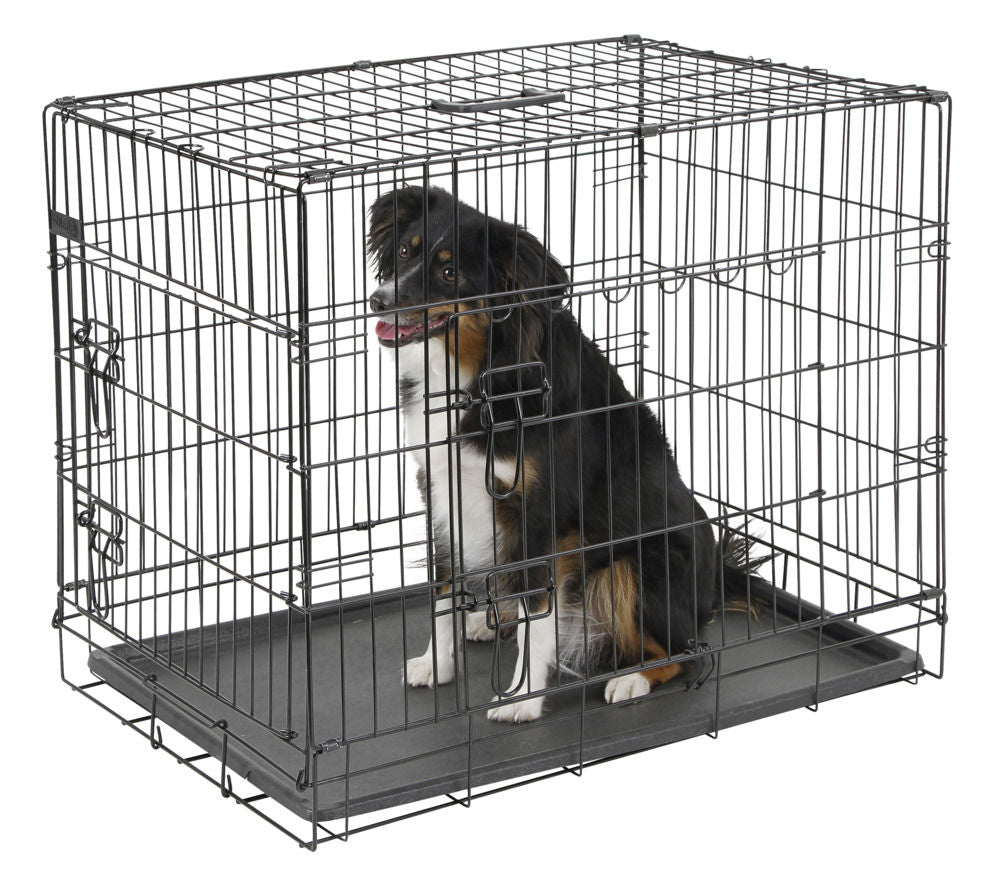 Dog holding cages outlet