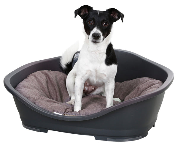 Pet Basket Plastic - No Cushion