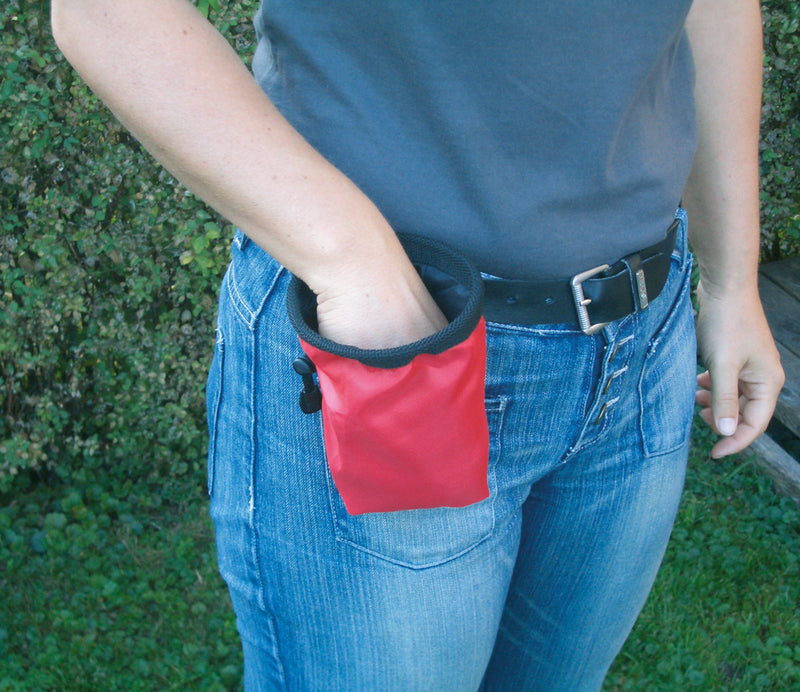 Pet Trainer Treat Feeding Bag