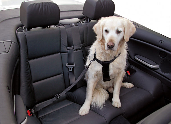Car Safety Belt For Dogs