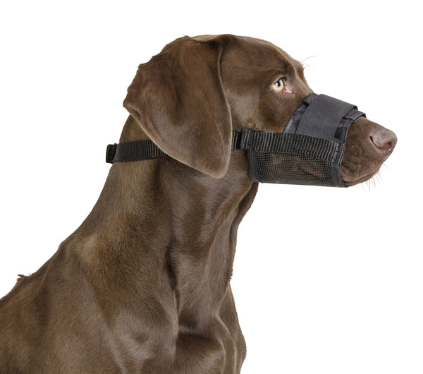 Dog Muzzle Nylon Short Head 30cm Size 8
