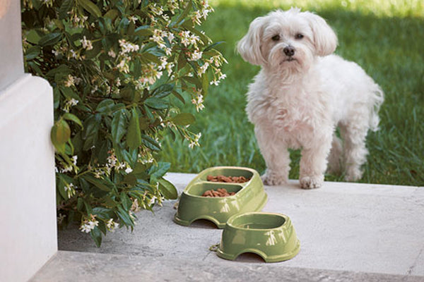 Pet Bowl Plastic Non Slip Double Bowl 2x300ml
