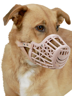 Dog Muzzle Plastic