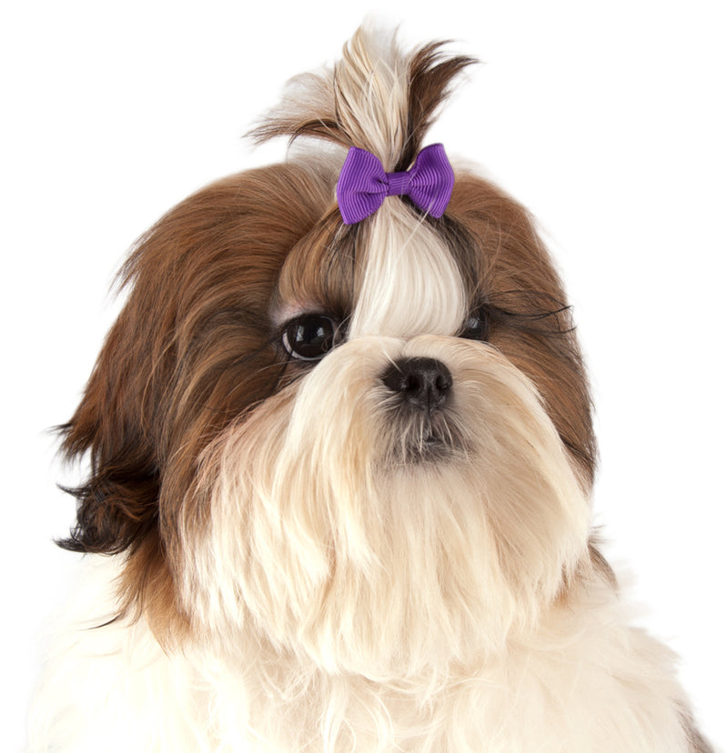 Show Tech Plain Multicolour Bows Assorted Pkt 50